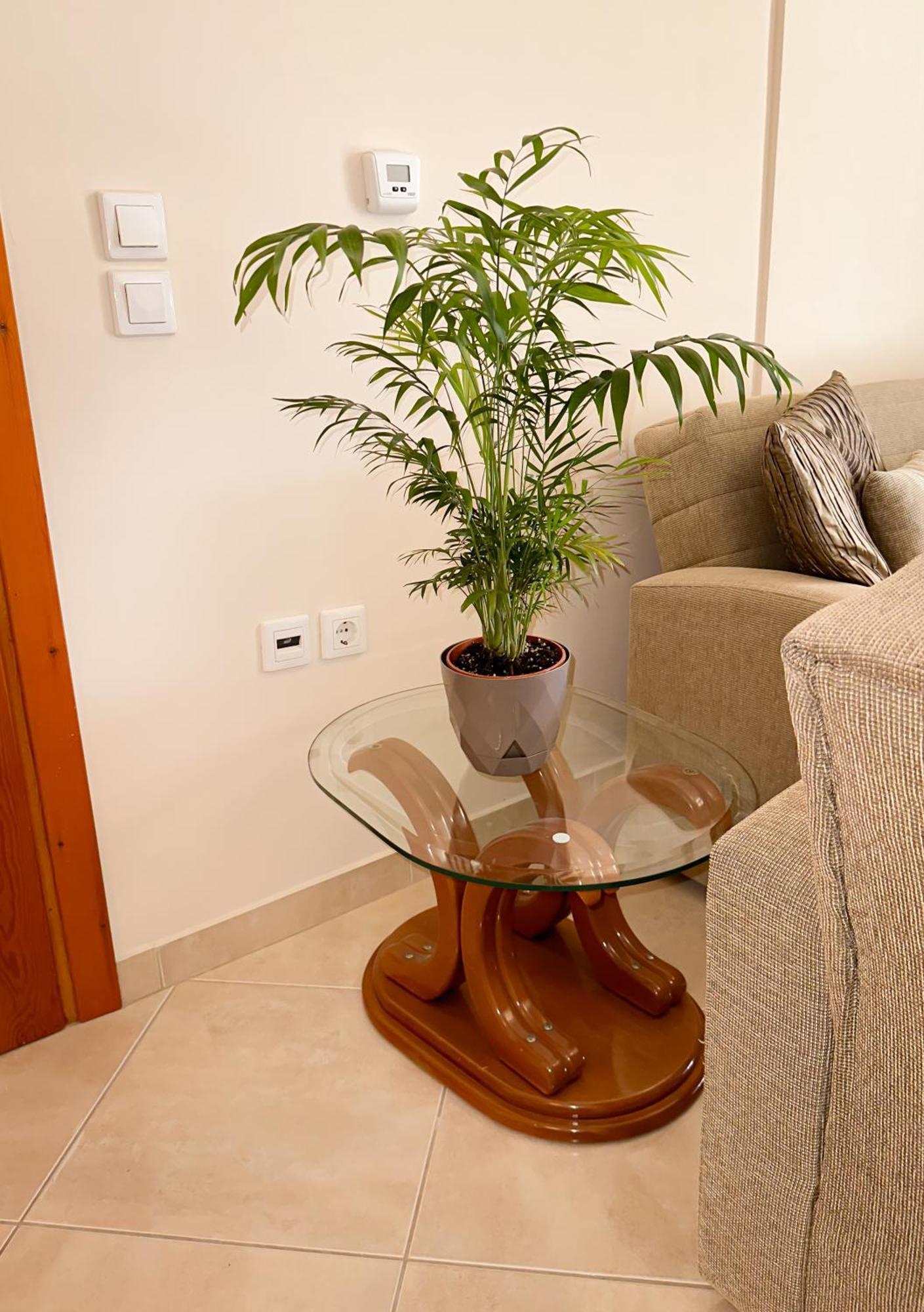 Sun N' Salt II Apartment تولو المظهر الخارجي الصورة